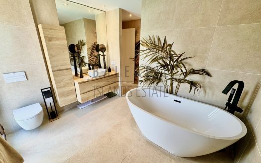 Master Bathroom I