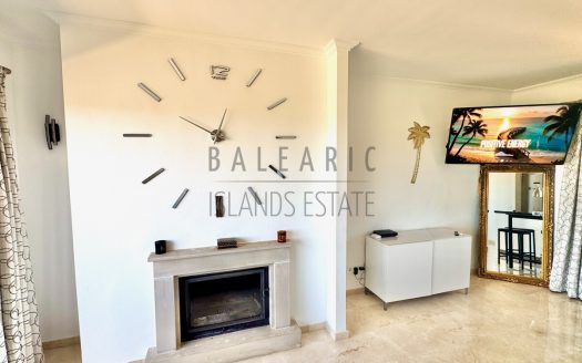 Open Fireplace