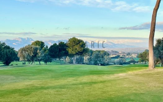 Golf Maioris_II