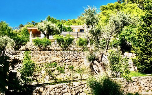 Hillside Plot