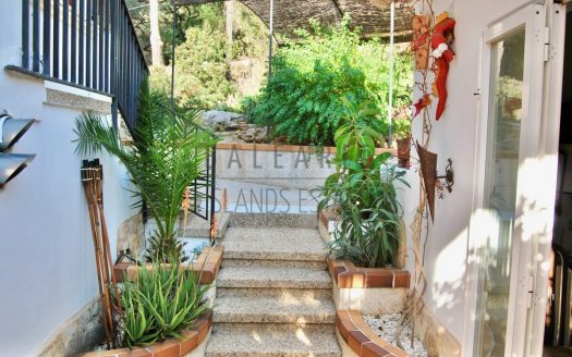 Backyard area