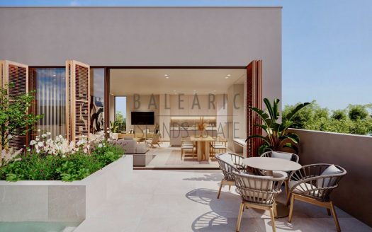 Imp Penthouse Terrace