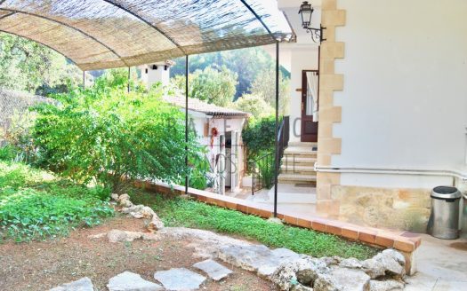 Backyard_1