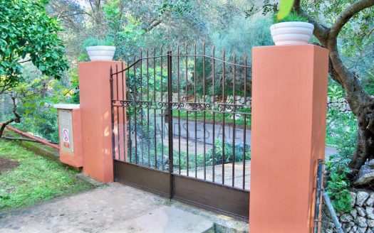 Second Plot Entry